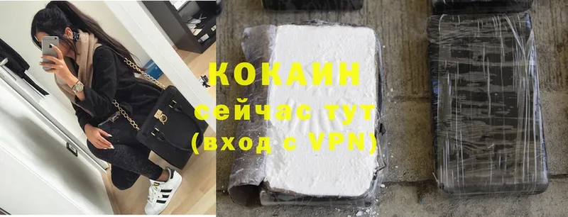 дарк нет какой сайт  где найти   Весьегонск  Cocaine FishScale 