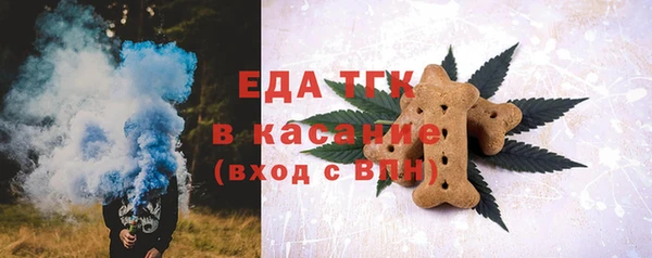 гашик Елабуга